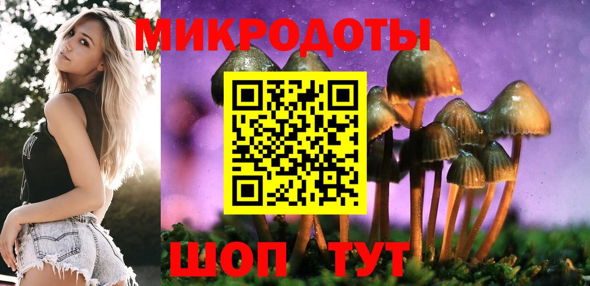 Псилоцибиновые грибы Cubensis Гагарин