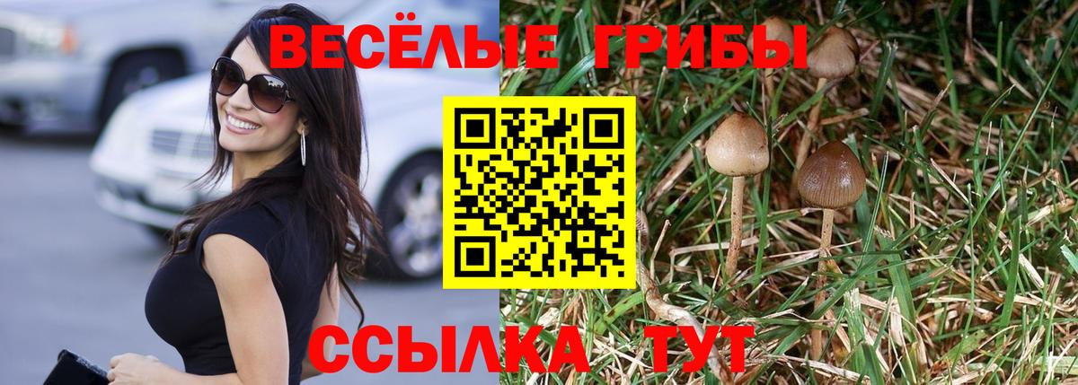 Псилоцибиновые грибы Magic Shrooms  Вход с VPN  Гагарин 